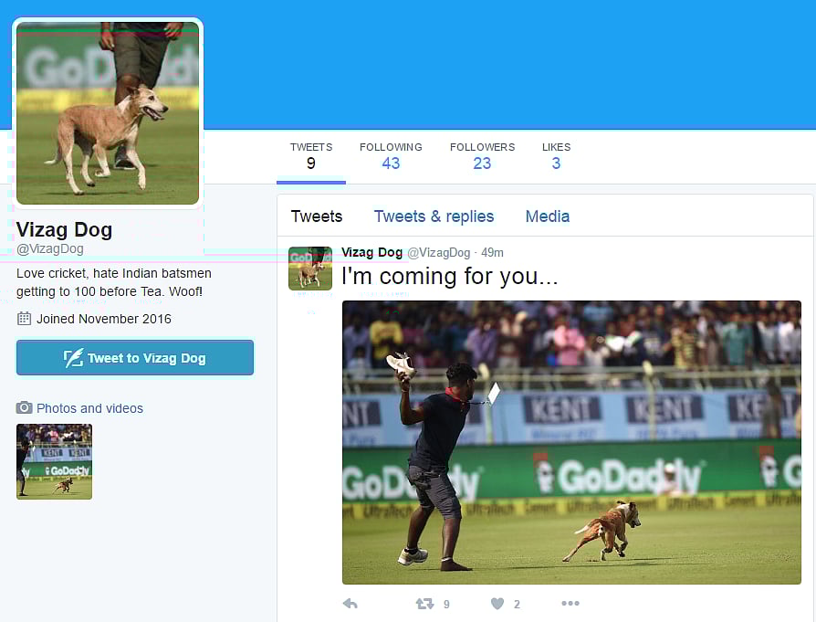 How ‘Vizag Dog’ Barged Into the IndiaEngland Match & Won Twitter